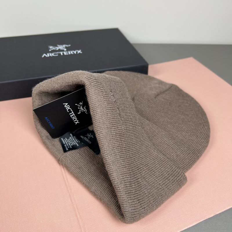 Arcteryx Hat dx (1275)