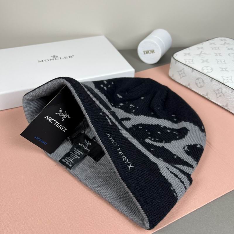 Arcteryx Hat dx (1290)