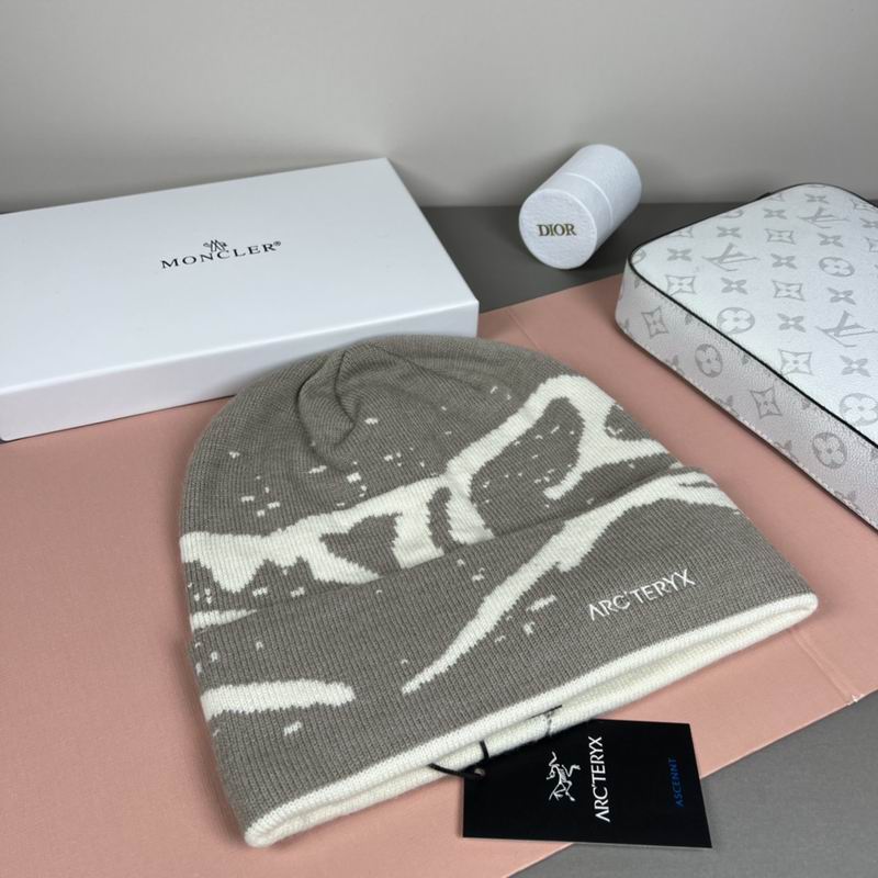 Arcteryx Hat dx (1293)