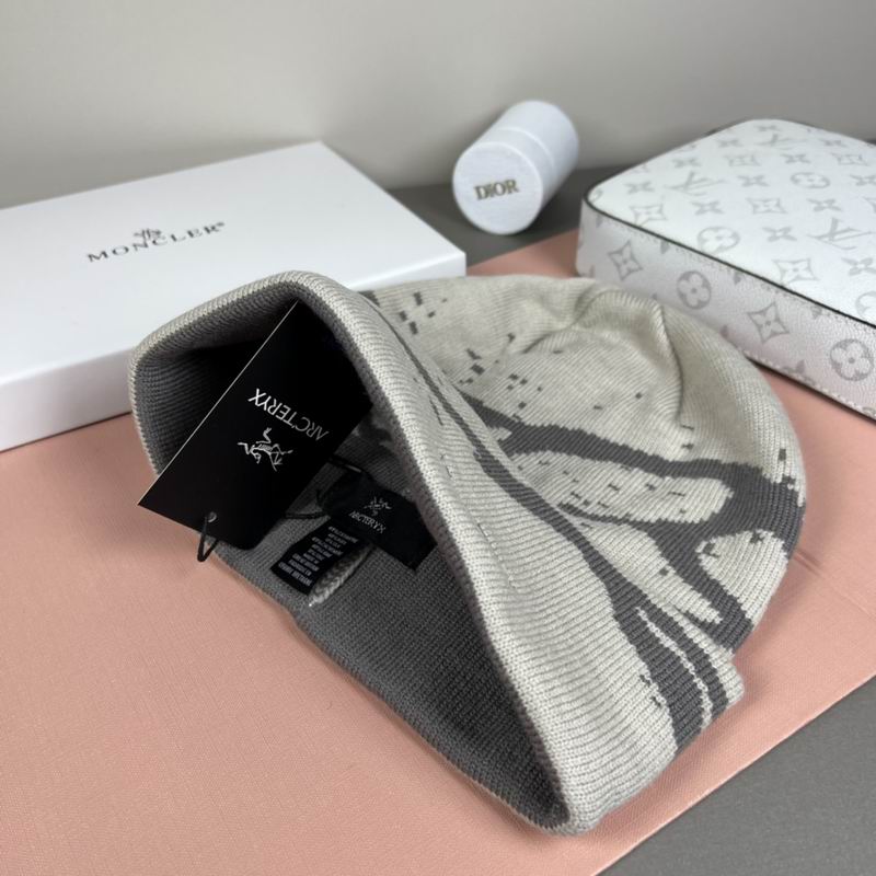 Arcteryx Hat dx (1303)