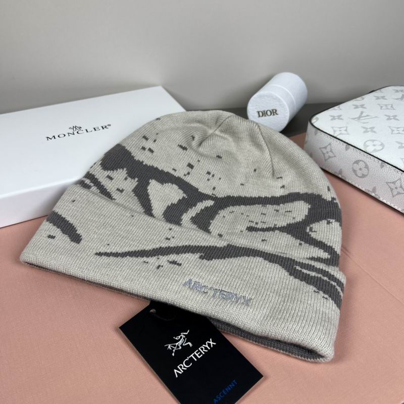 Arcteryx Hat dx (1304)