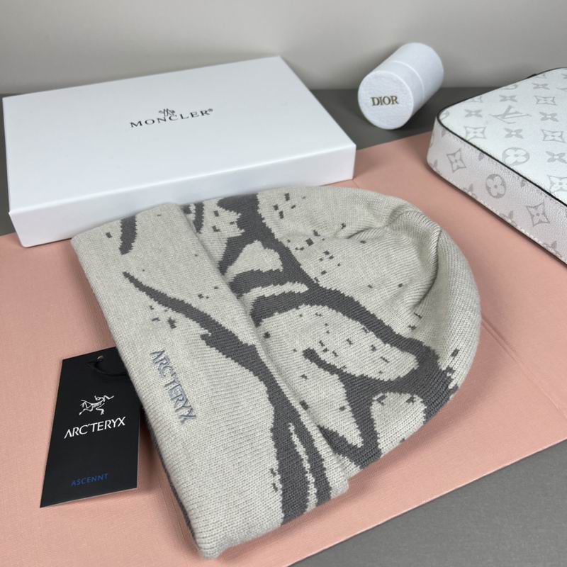 Arcteryx Hat dx (1309)