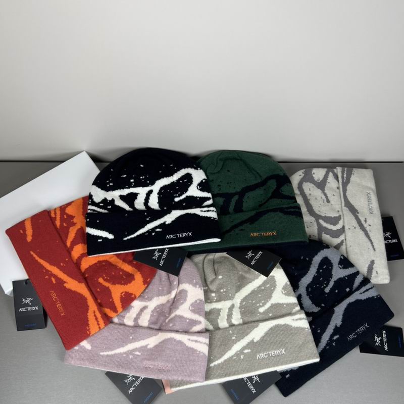 Arcteryx Hat dx (1310)