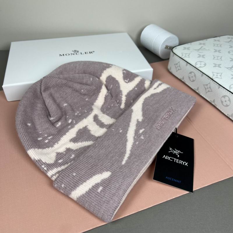 Arcteryx Hat dx (1313)