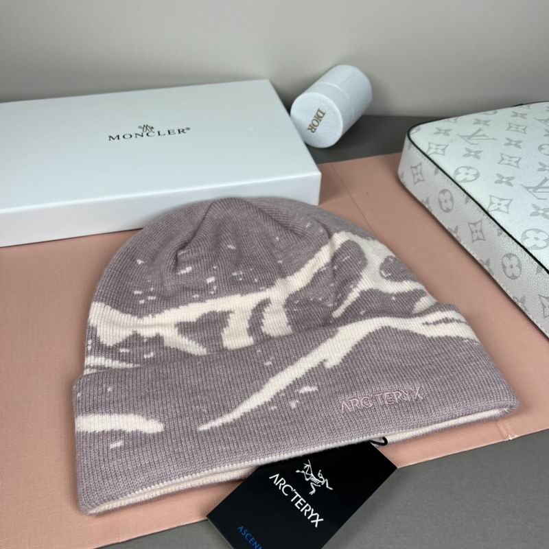 Arcteryx Hat dx (1314)