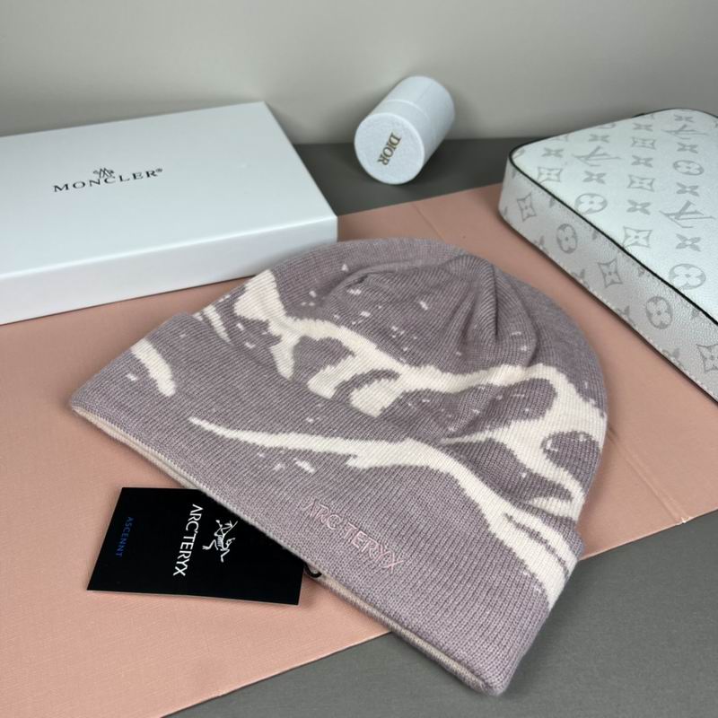 Arcteryx Hat dx (1315)