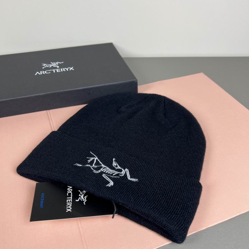 Arcteryx Hat dx (1316)