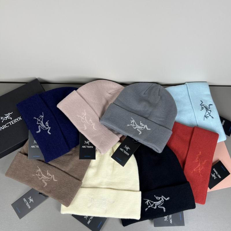 Arcteryx Hat dx (1317)