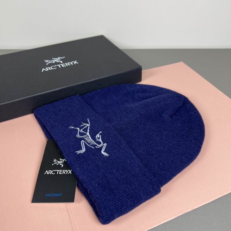 Arcteryx Hat dx (1318)