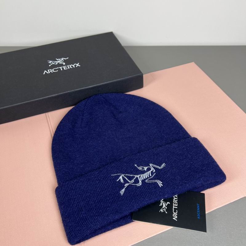 Arcteryx Hat dx (1319)
