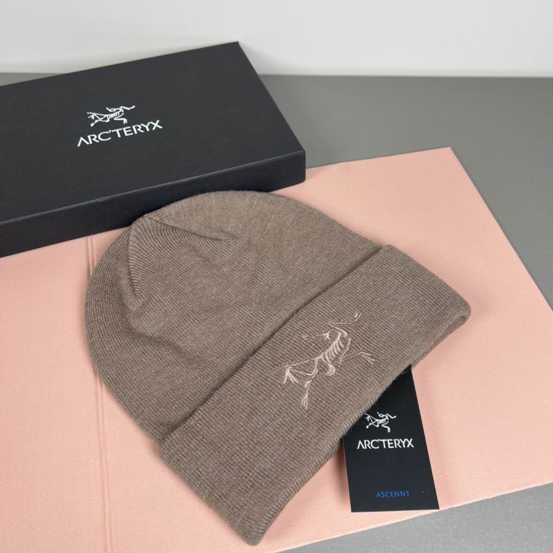 Arcteryx Hat dx (1327)