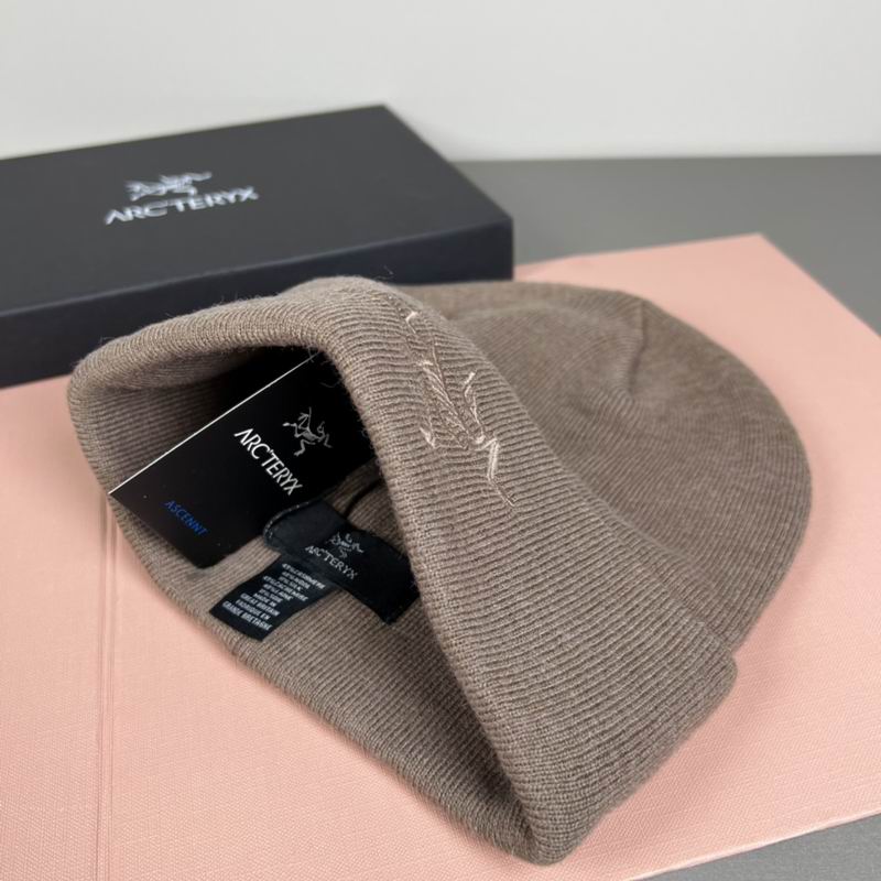 Arcteryx Hat dx (1328)