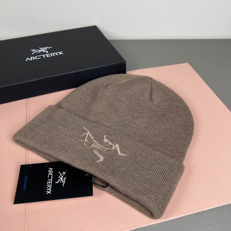 Arcteryx Hat dx (1329)