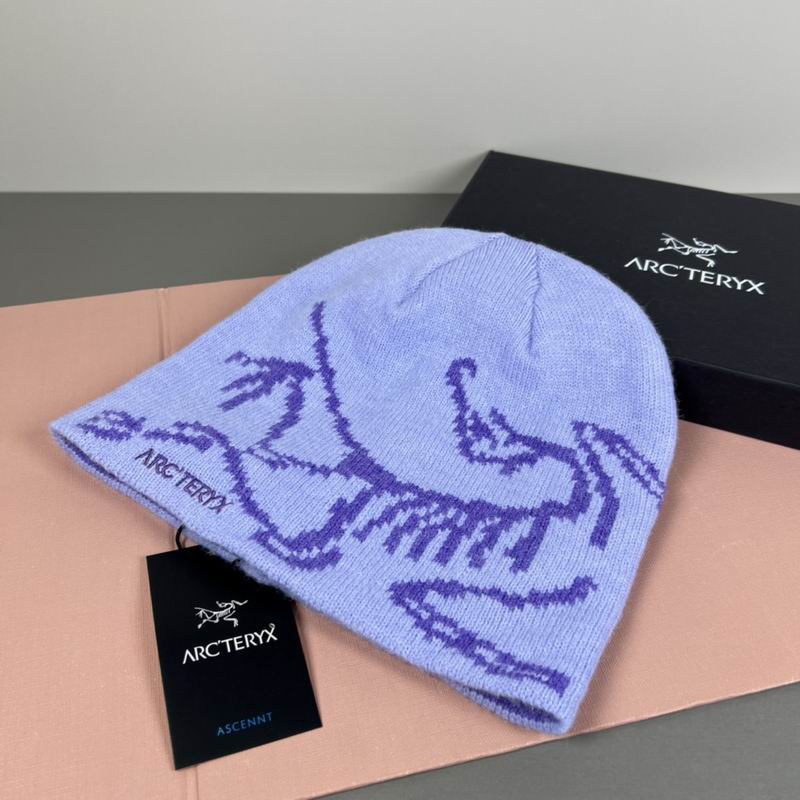Arcteryx hat dx (13)