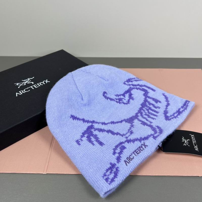 Arcteryx hat dx (14)