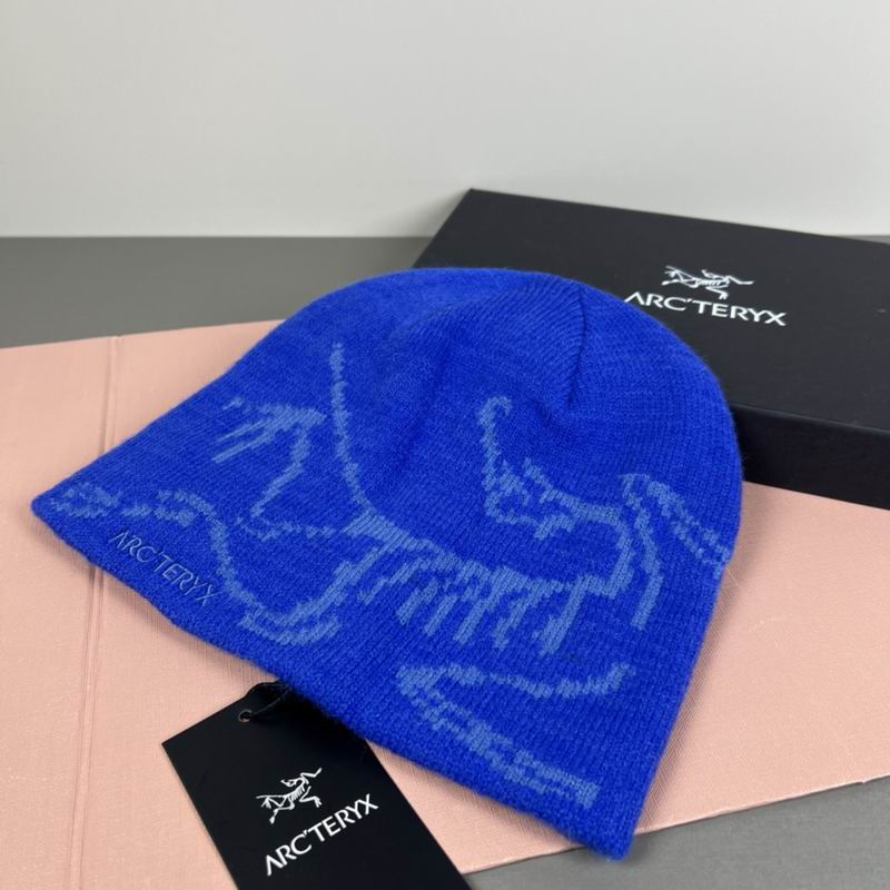 Arcteryx hat dx (15)