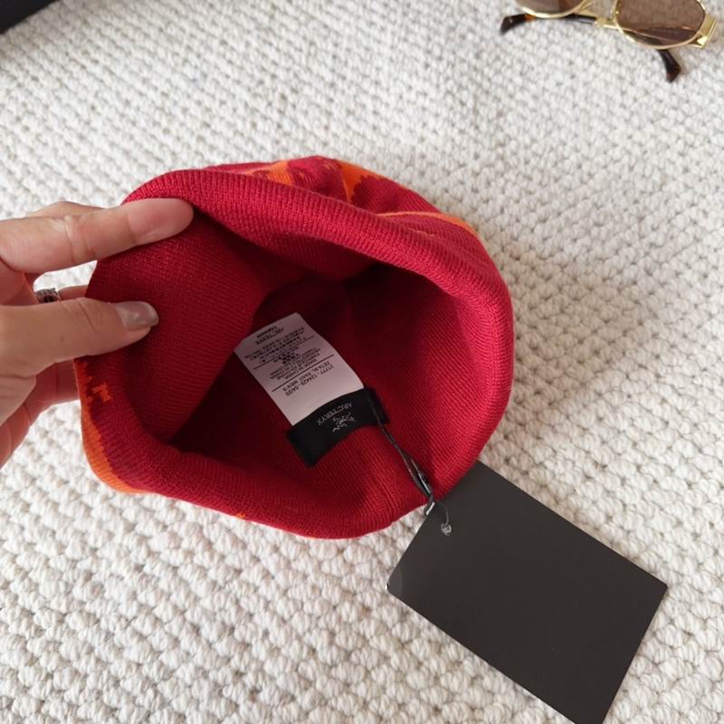 Arcteryx hat dx (1515)