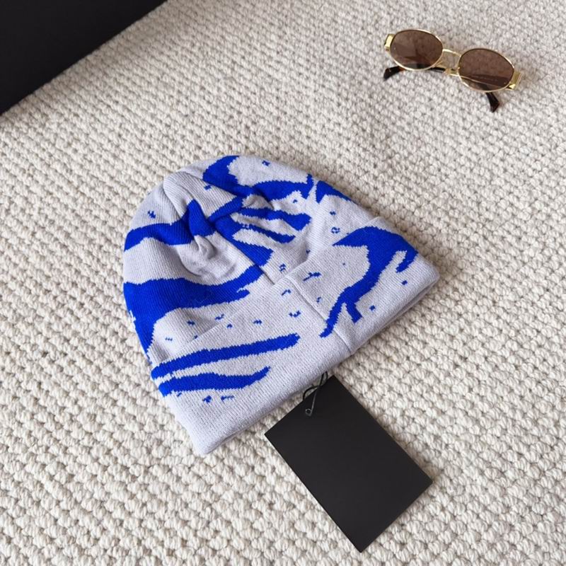 Arcteryx hat dx (1524)