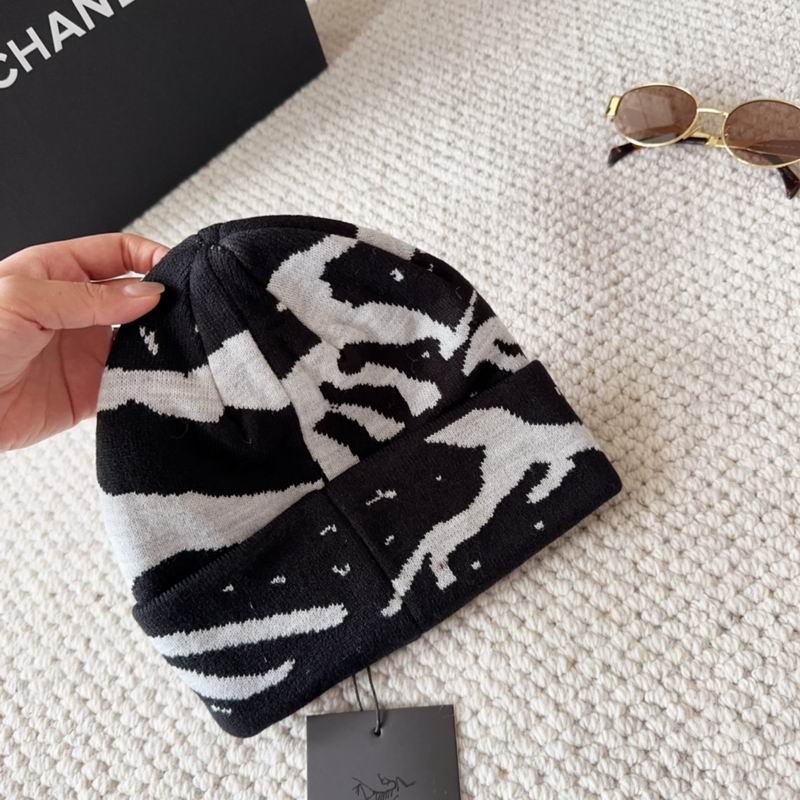 Arcteryx hat dx (1534)