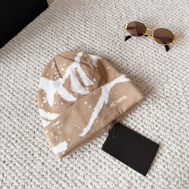 Arcteryx hat dx (1540)