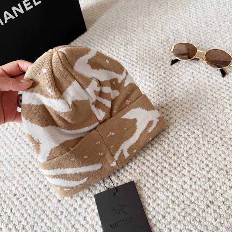 Arcteryx hat dx (1541)