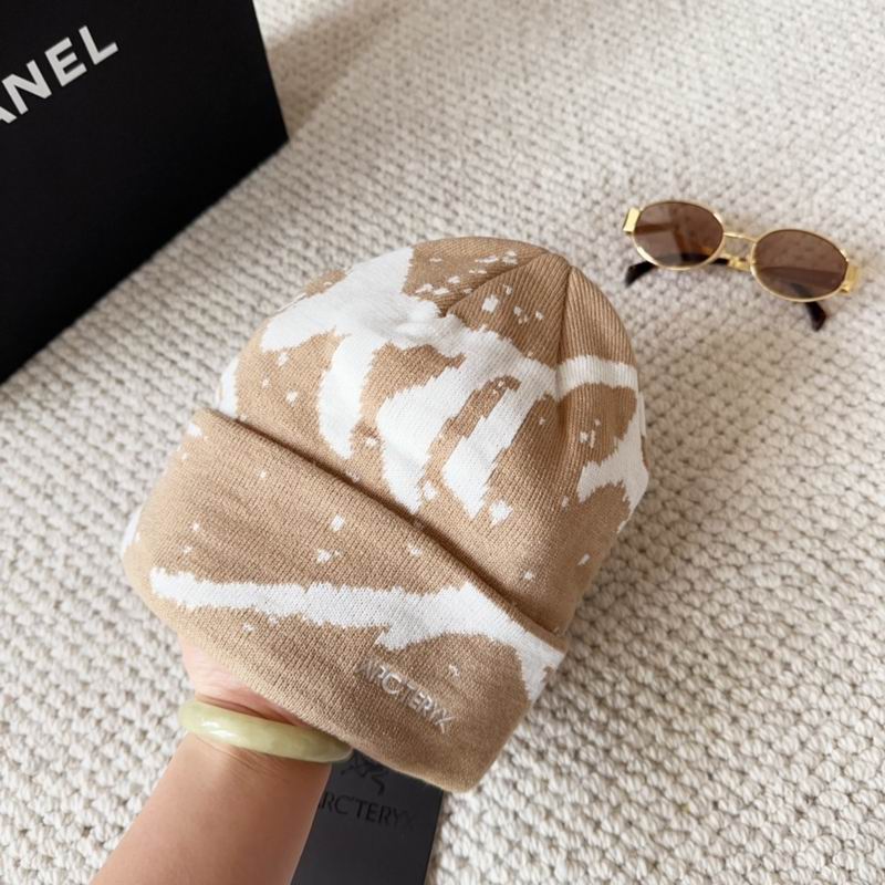 Arcteryx hat dx (1545)