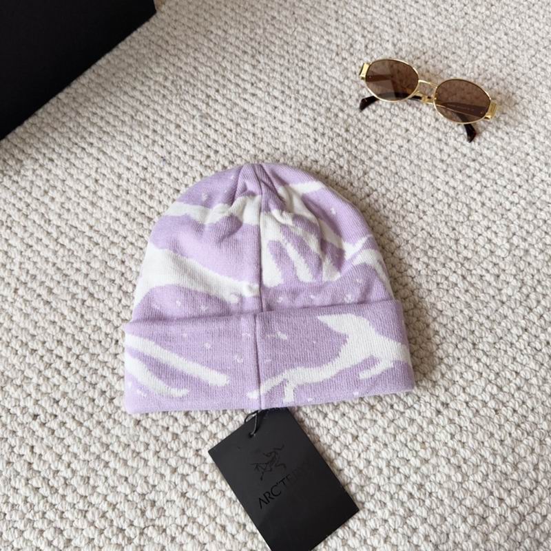 Arcteryx hat dx (1549)