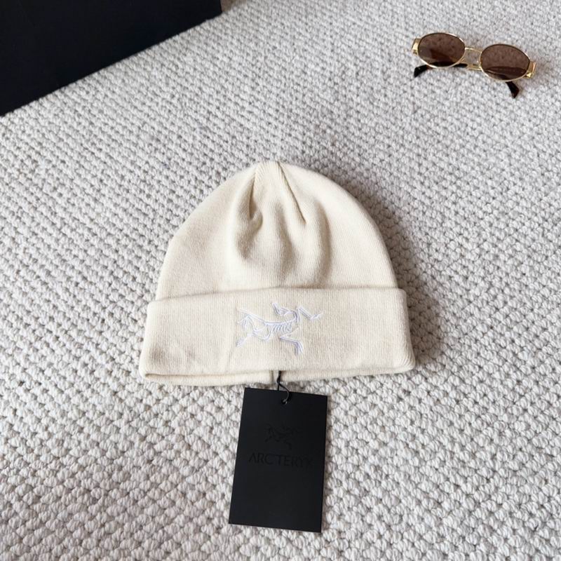 Arcteryx hat dx (1575)