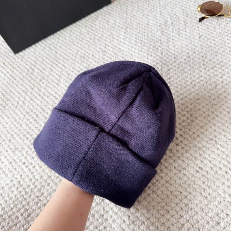 Arcteryx hat dx (1576)