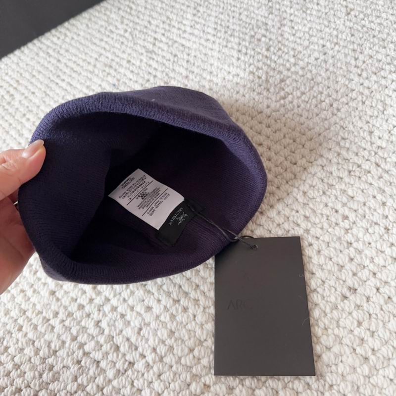 Arcteryx hat dx (1577)