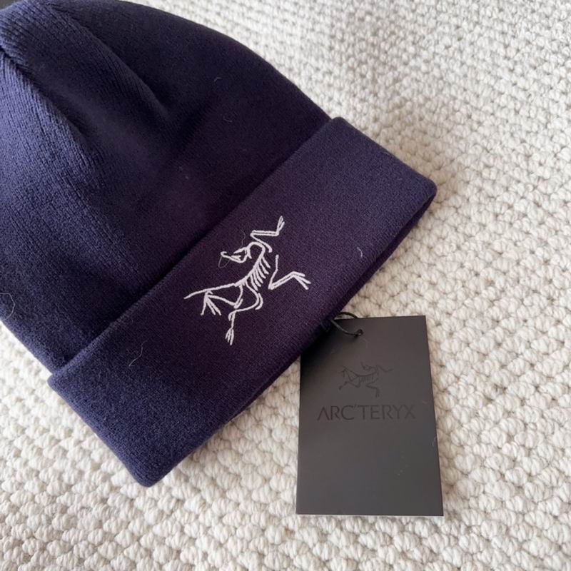 Arcteryx hat dx (1578)