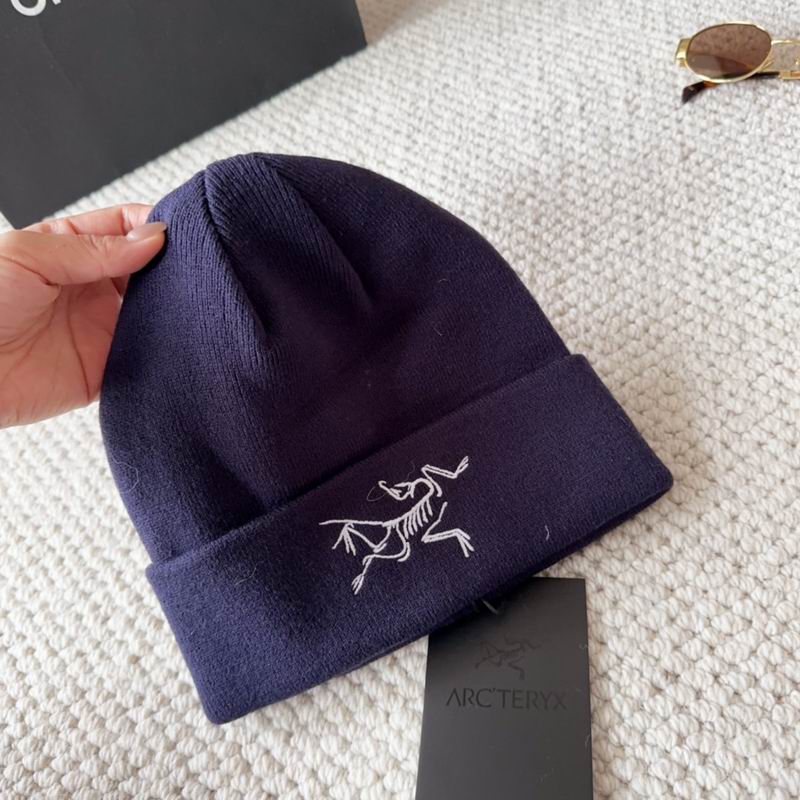 Arcteryx hat dx (1579)