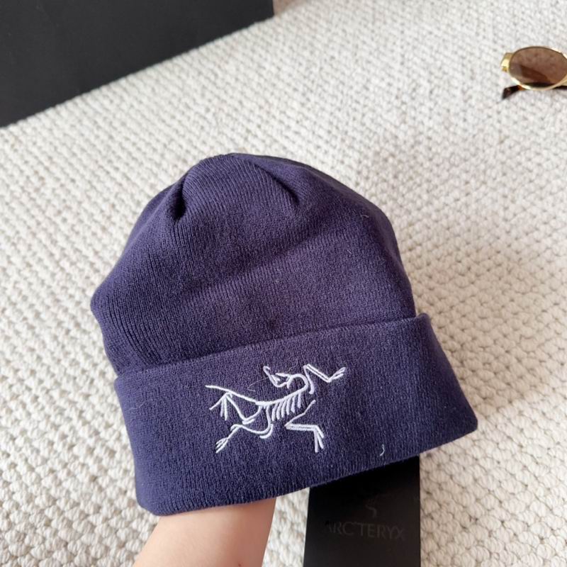 Arcteryx hat dx (1580)