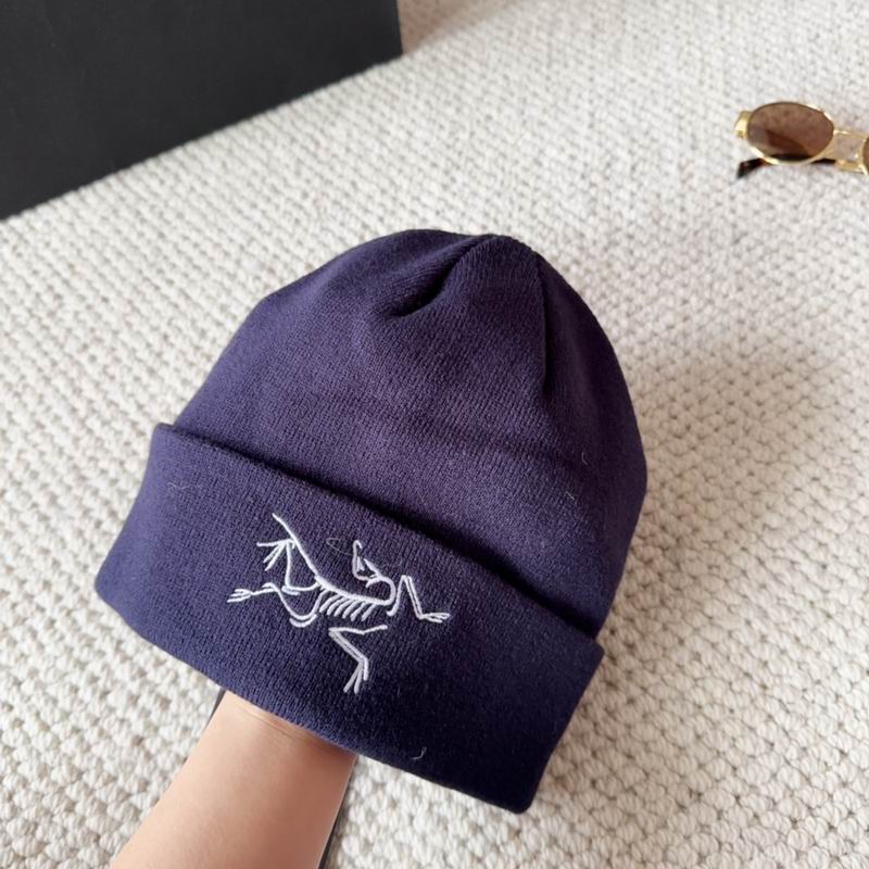 Arcteryx hat dx (1581)