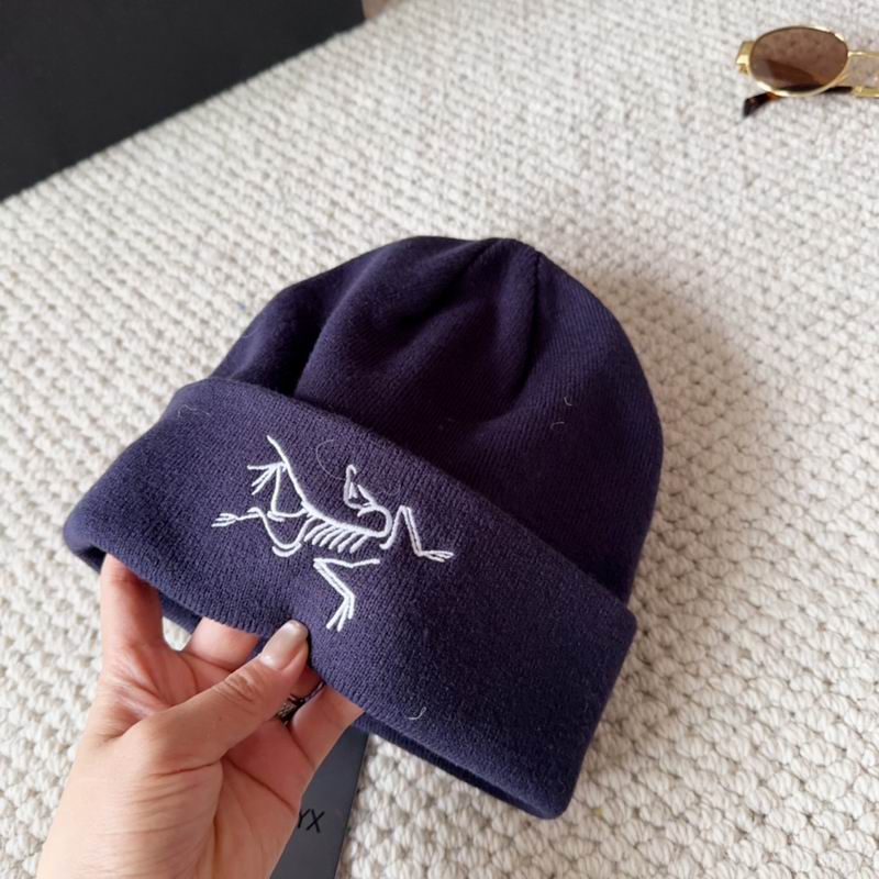 Arcteryx hat dx (1582)