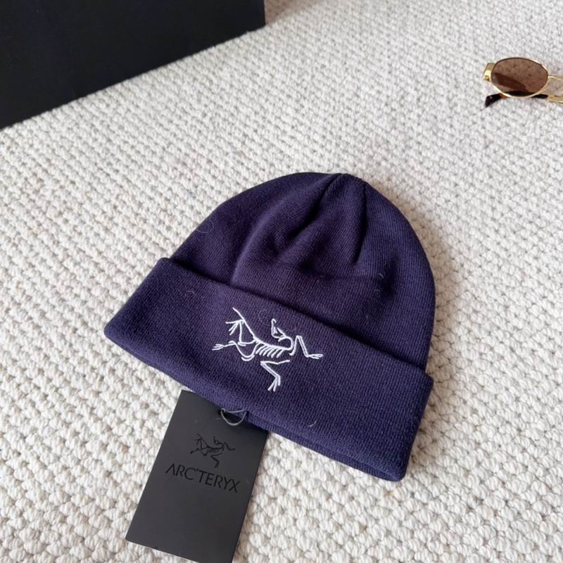 Arcteryx hat dx (1583)