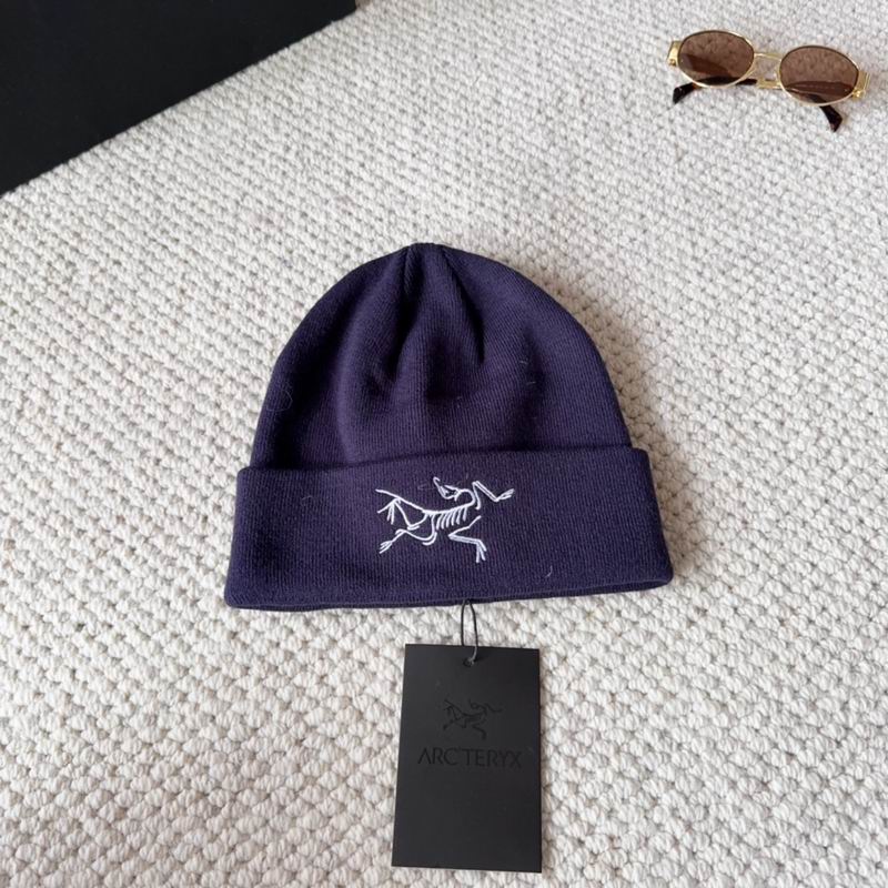 Arcteryx hat dx (1584)