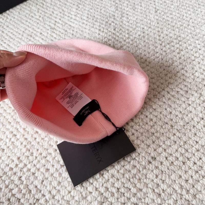 Arcteryx hat dx (1586)