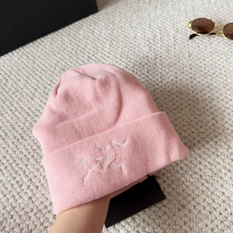 Arcteryx hat dx (1588)