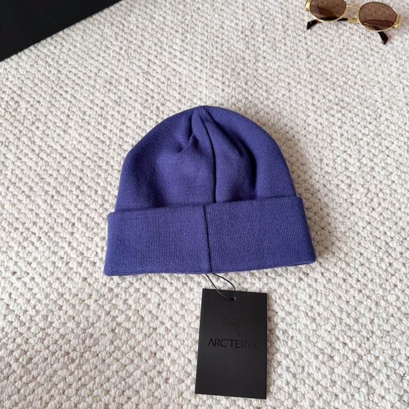 Arcteryx hat dx (1596)