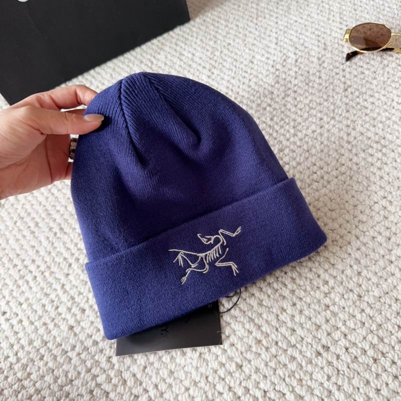 Arcteryx hat dx (1597)