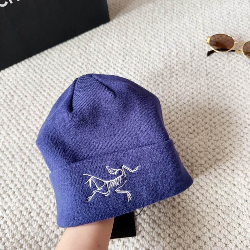 Arcteryx hat dx (1598)