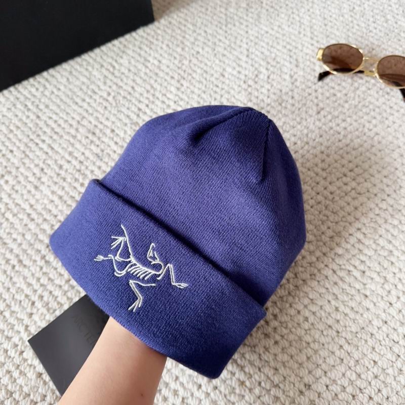 Arcteryx hat dx (1599)