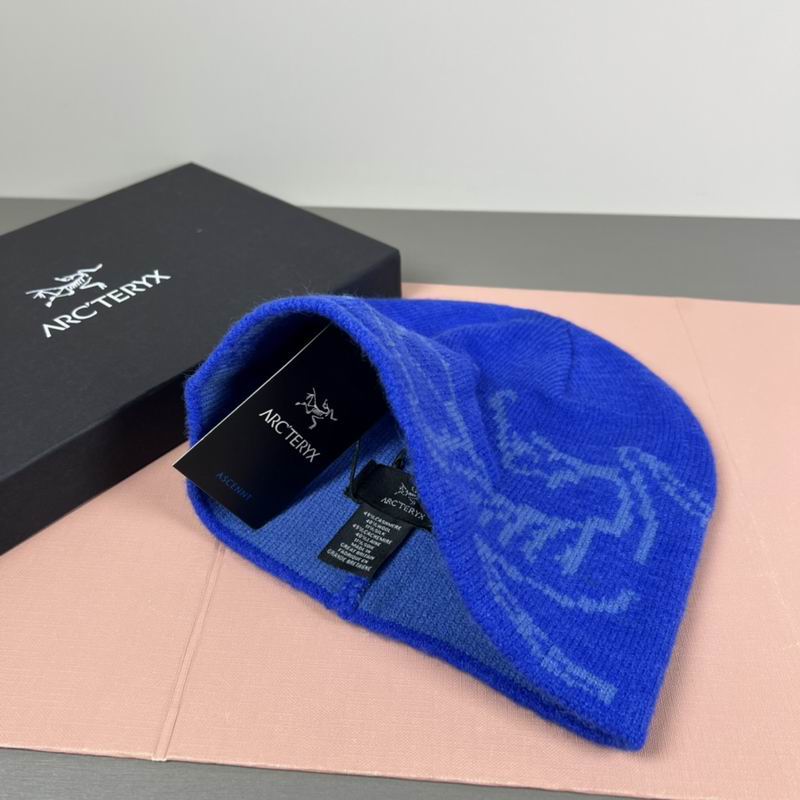 Arcteryx hat dx (16)