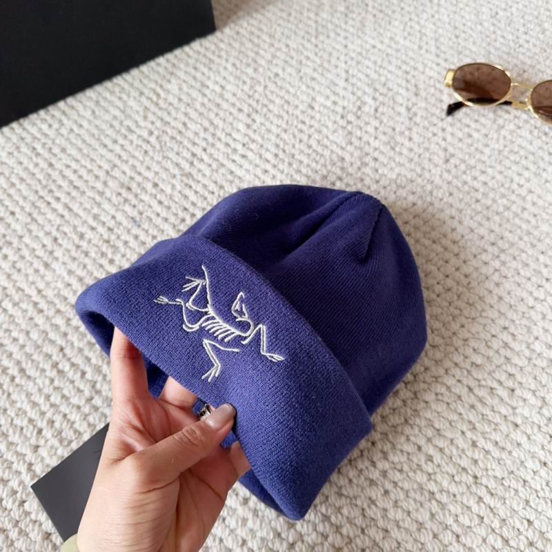 Arcteryx hat dx (1600)