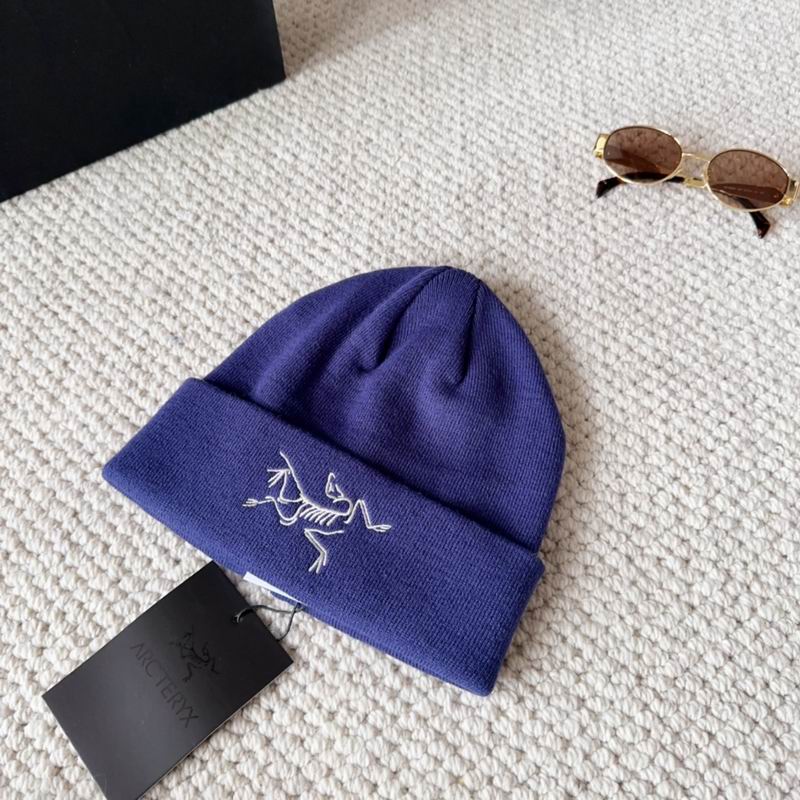 Arcteryx hat dx (1601)