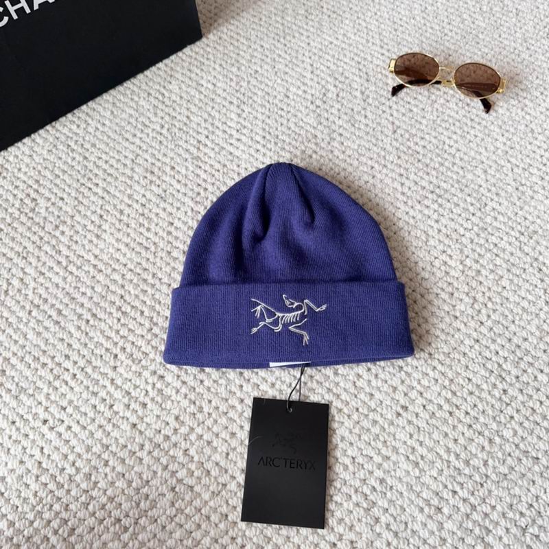 Arcteryx hat dx (1602)