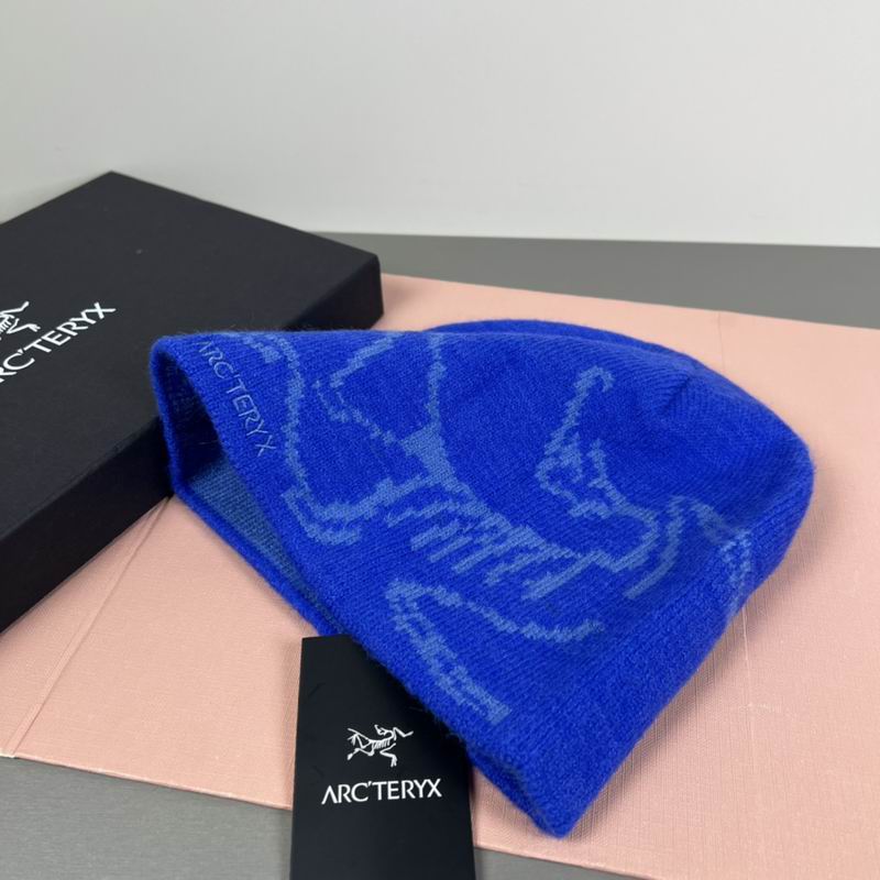 Arcteryx hat dx (17)
