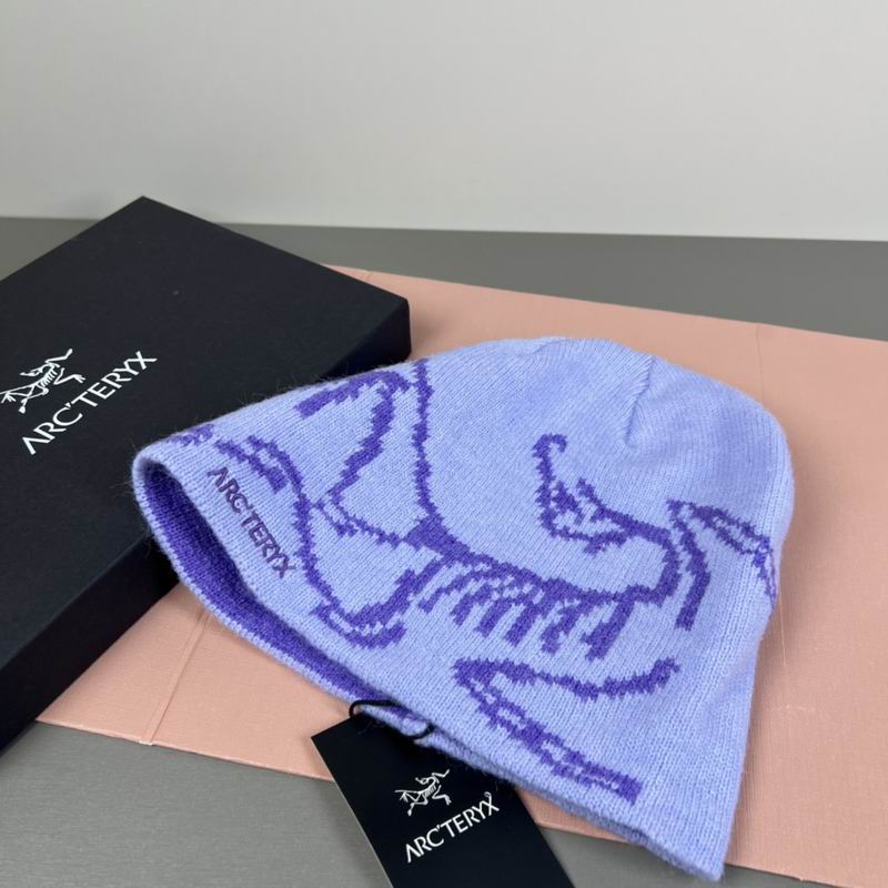 Arcteryx hat dx (18)