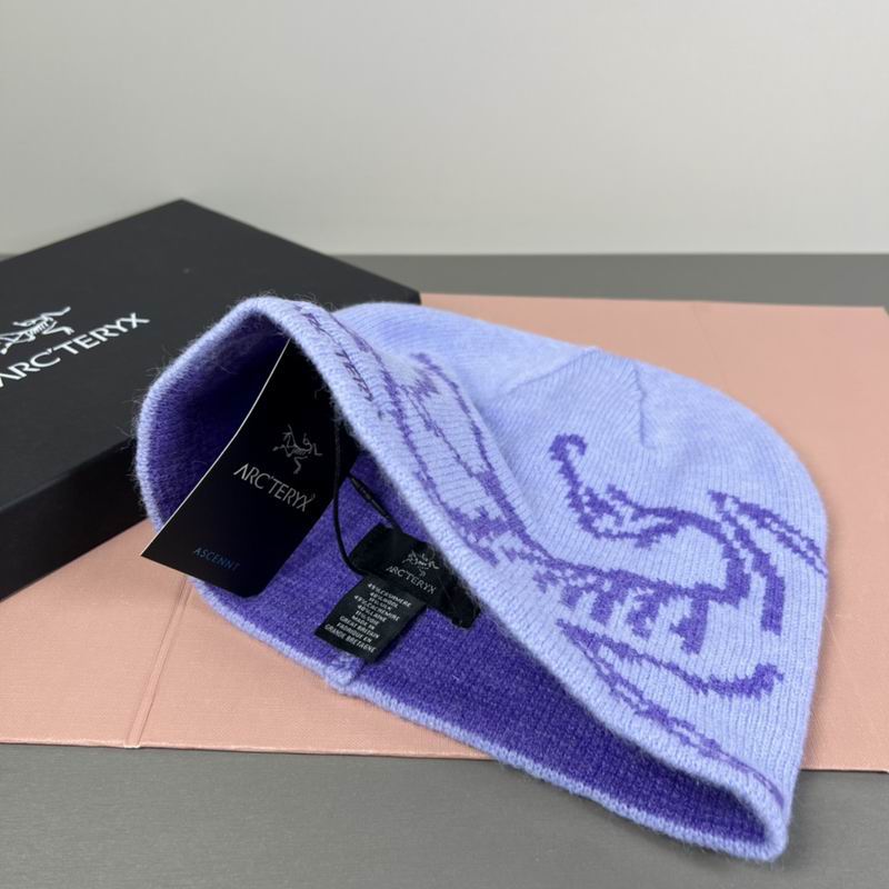 Arcteryx hat dx (19)